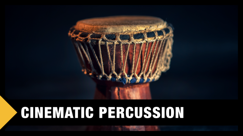 Best Cinematic Percussion VST