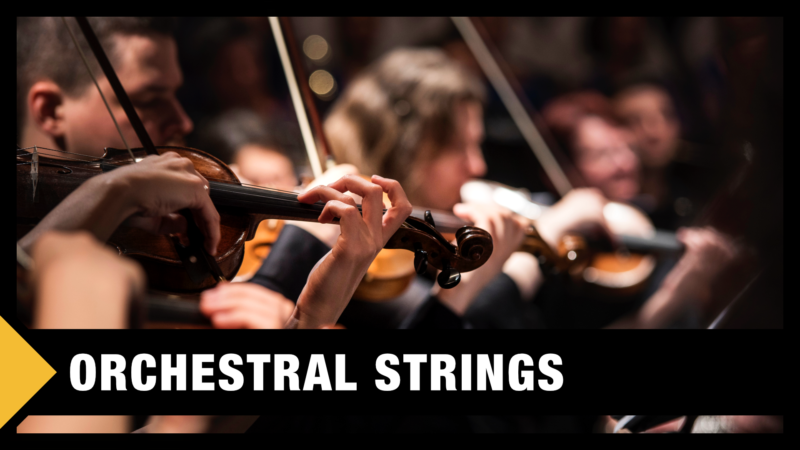 Best Orchestral Strings VST