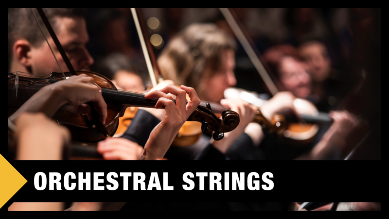 Best Orchestral Strings VST & Sample Libraries