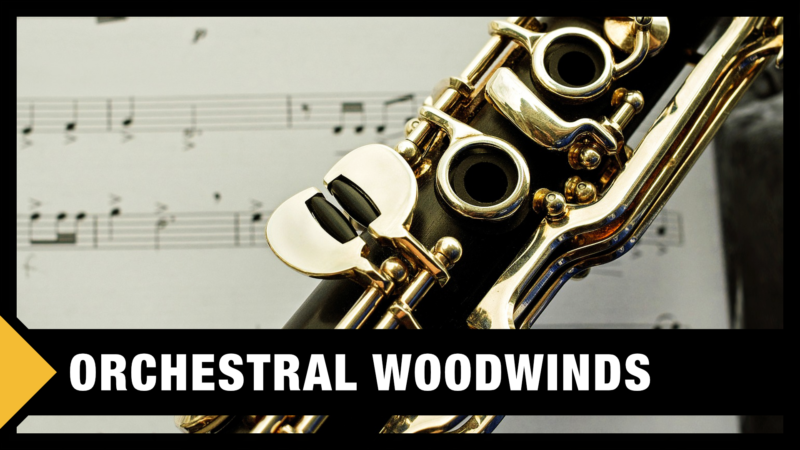 Best Orchestral Woodwinds VST