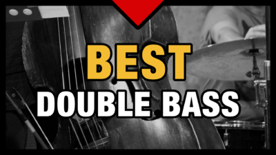 Best Double Bass VST Sample Library