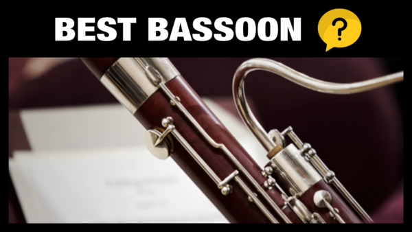 Best Bassoon VST Sample Library