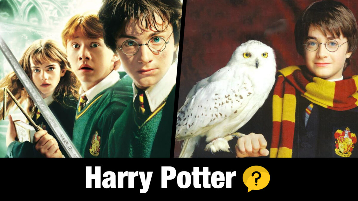 Harry Potter - Hedwig's Theme (Irish Tin Whistle)