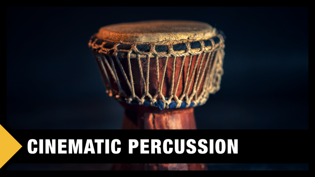 Best Cinematic Percussion VST Libraries In The World Professional Composers