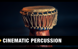 Best Cinematic Percussion VST