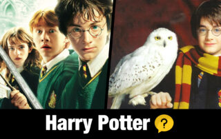 Harry Potter - Hedwig's Theme (Irish Tin Whistle)