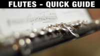 All Flutes in the Orchestra (Quick Guide) – Professional Composers