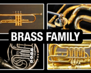 Brass Instruments of the Orchestra