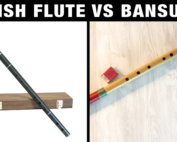 Irish Flute vs Bansuri