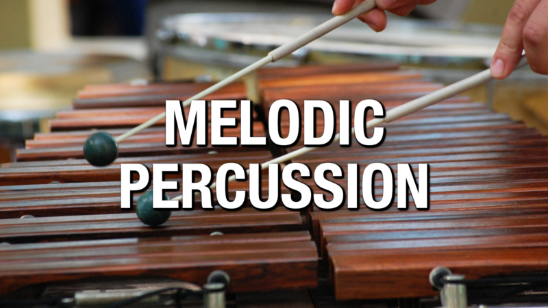 Melodic Percussion Family Of The Orchestra Professional Composers