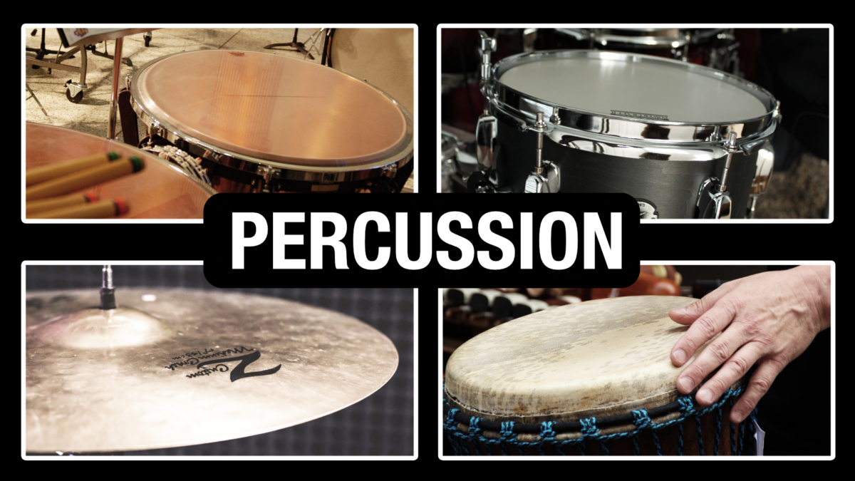 Percussion Family of the Orchestra Professional Composers