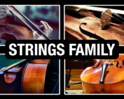 Strings Family of the Orchestra