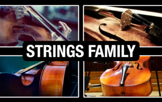 Strings Family of the Orchestra