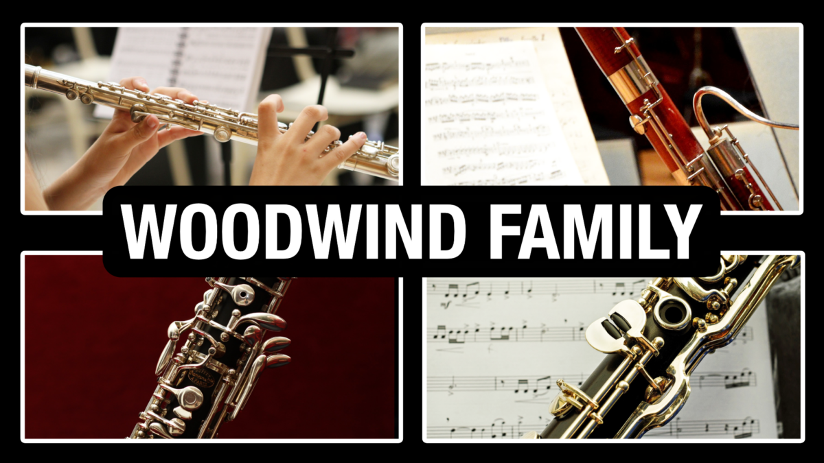 woodwind-instrument-family-of-the-orchestra-professional-composers