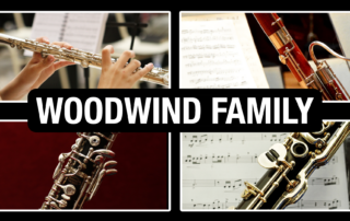 Woodwind Family of the Orchestra